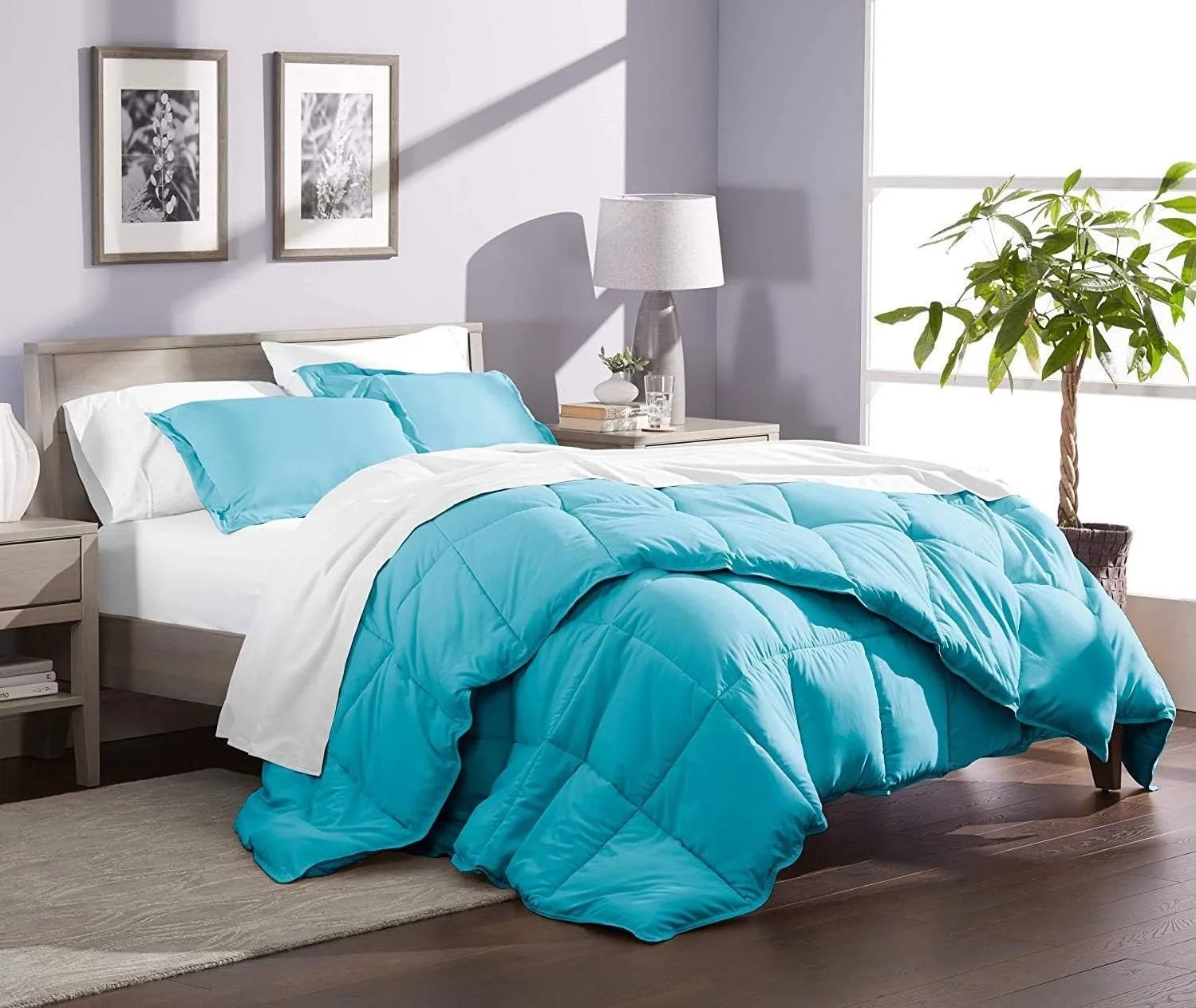 800 TC 100% Egyptian Cotton 300 GSM Goose Down Alternative Microfiber 5 PC Comforter Set (Comforter   Flat   Fitted 15''   2 Pillow Casess) Twin, Aqua Blue
