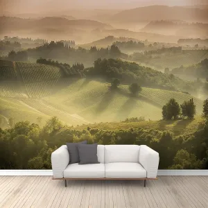 Green Forest Wall Murals Sunshine Plateau Natural Scenery Mural Wallpaper Non-Self-Adhesive Photo Wallpaper for Bedroom Bathroom Kitchen 196.85" W x 124.8" H