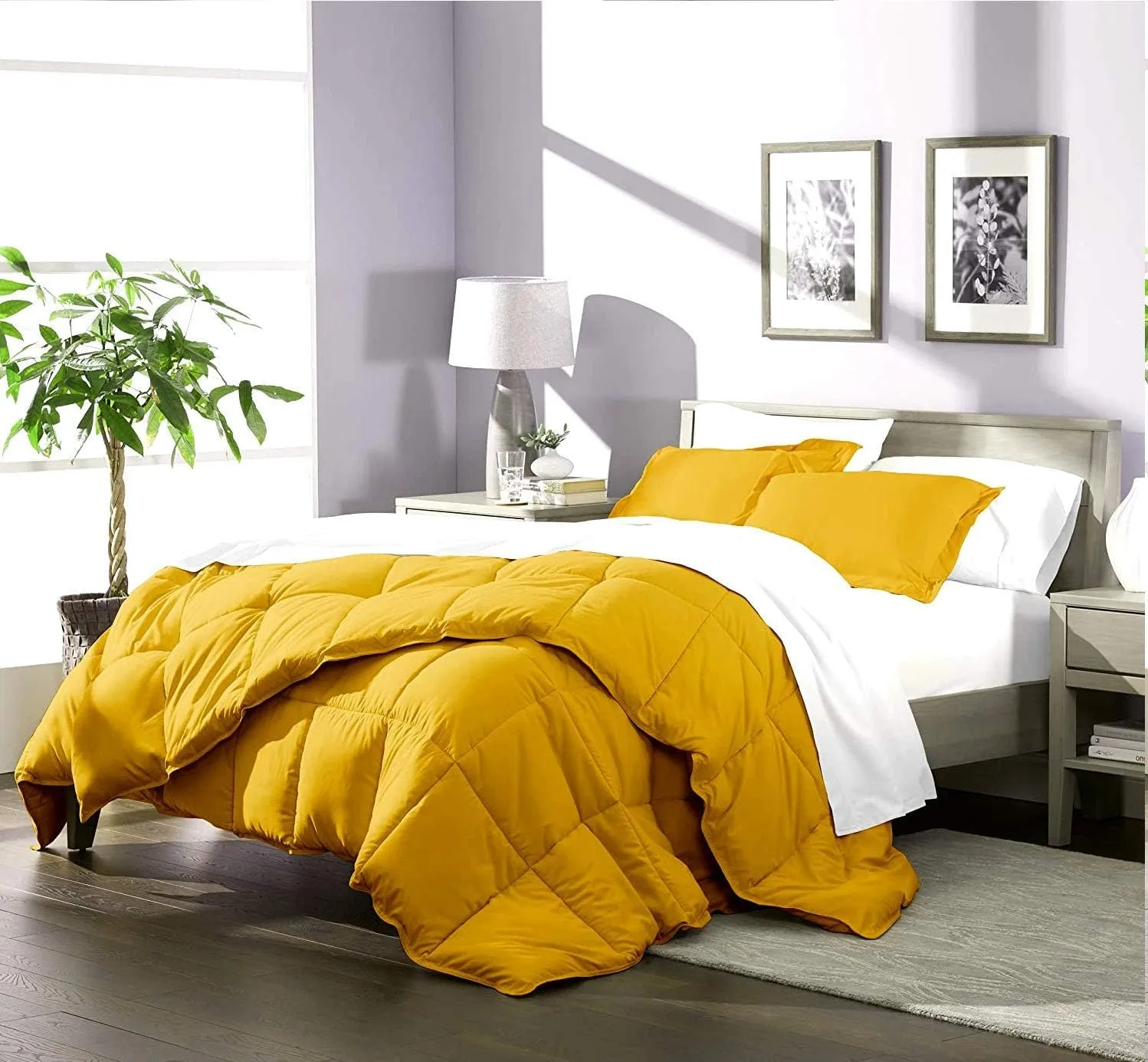 Soft Bed in Bag 1000 Series Egyptian Cotton 5 Piece 500 GSM Warm Comforter Set (Comforter   Flat Sheet   Fitted Sheet 20" Deep   2 Pillow Cases) Bedding Set Emperor King Gold