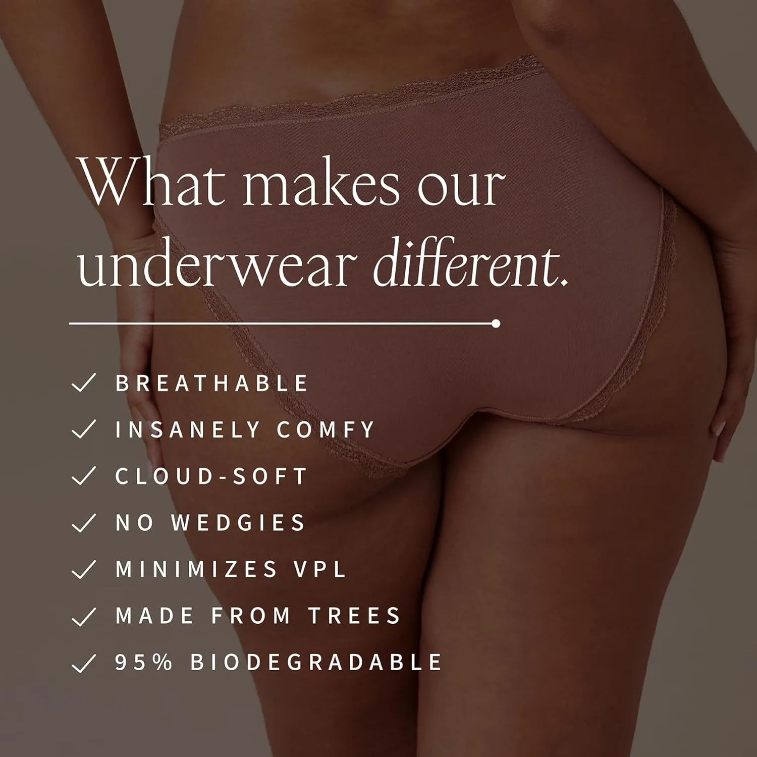 Stripe & Stare The Original Brief, Women's Briefs Underwear (XS-1X)