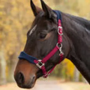 Waldhausen Halter Premium  Soft